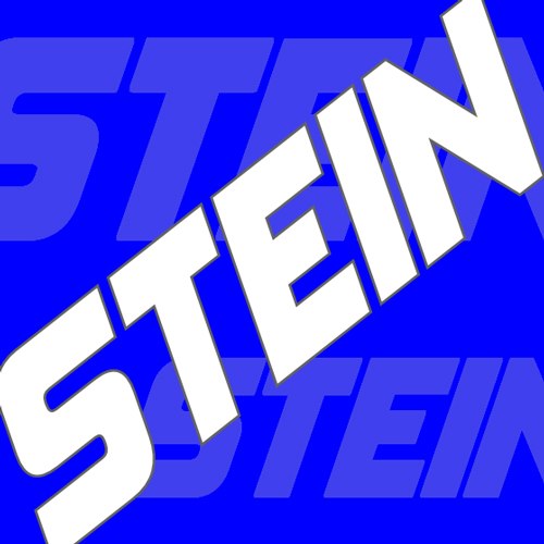 Stein Logo